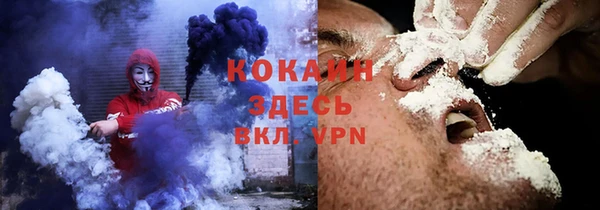 твердый Алексин