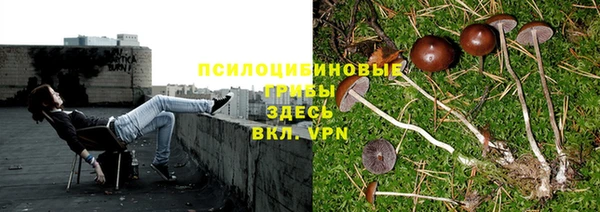МДПВ Абинск