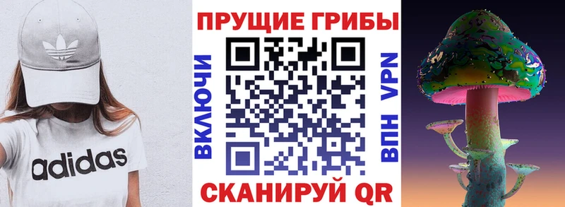Псилоцибиновые грибы ЛСД  наркошоп  Рязань 